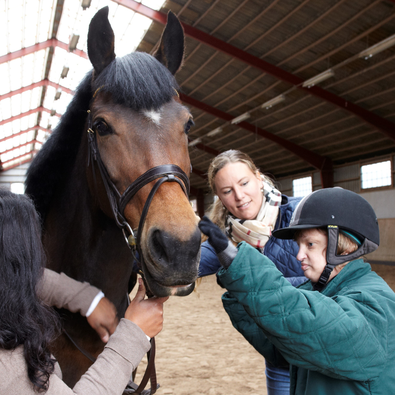 Bilden visar Karin som klappar hästen hon ska rida, hennes personliga assistent är med och hästens ägarinna